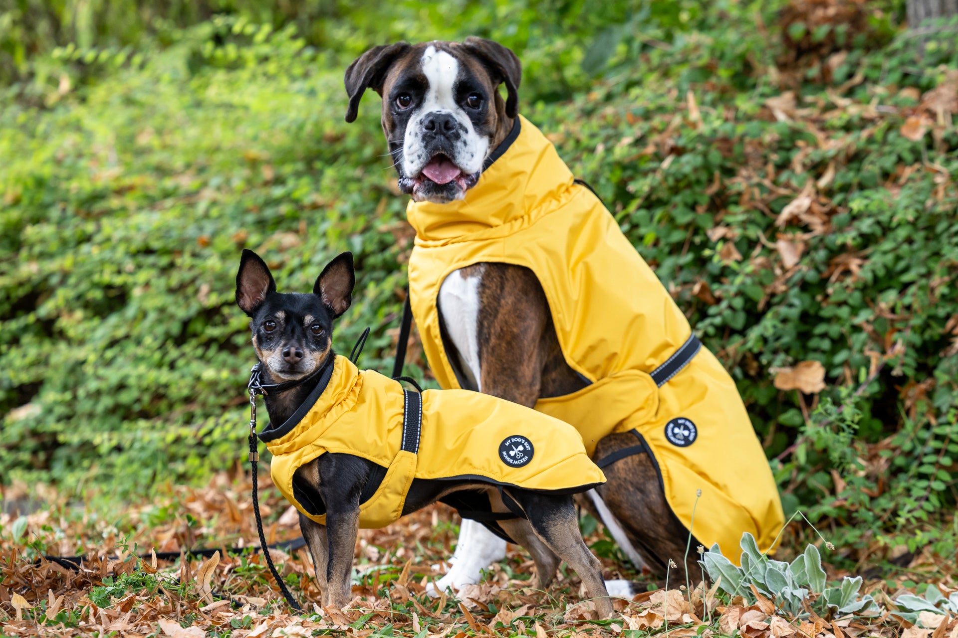 German shepherd dog outlet jacket